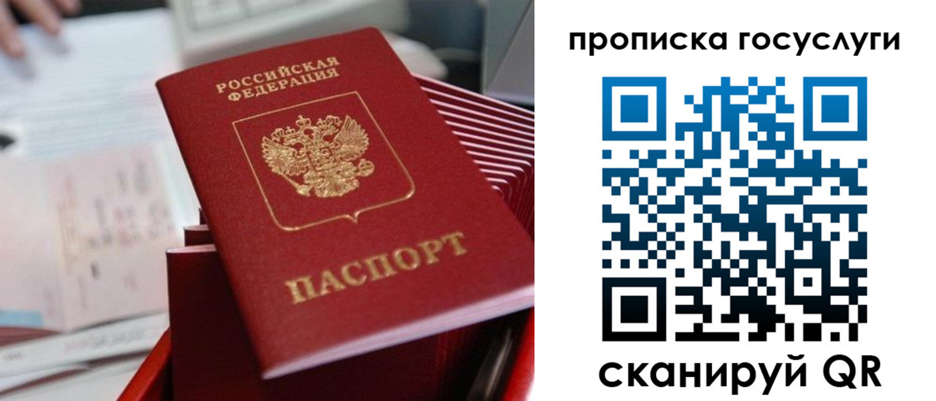 прописка законно в Новочеркасске